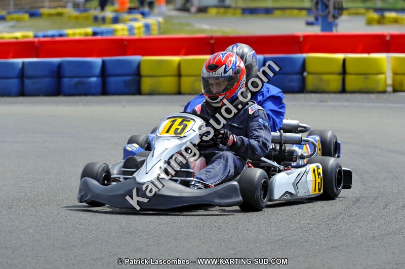 DSC_ (1557).jpg